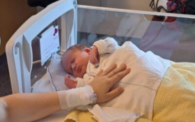 TransvenloFit & VieAmi